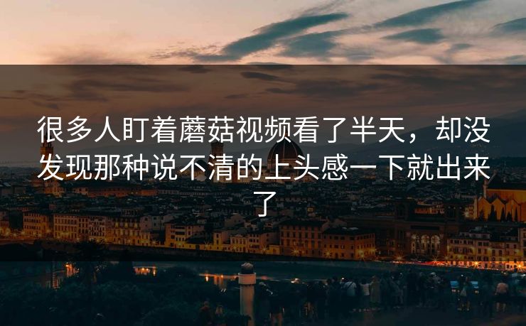 很多人盯着蘑菇视频看了半天，却没发现那种说不清的上头感一下就出来了