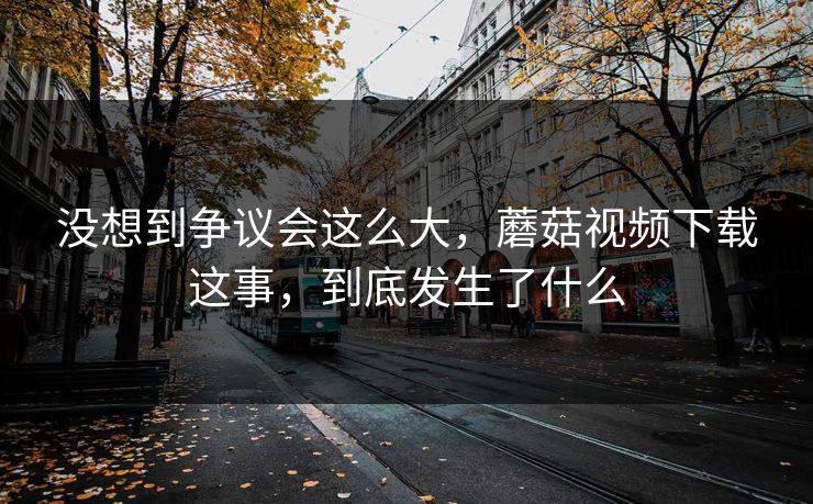 没想到争议会这么大，蘑菇视频下载这事，到底发生了什么