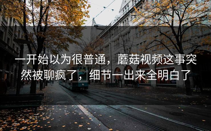 一开始以为很普通，蘑菇视频这事突然被聊疯了，细节一出来全明白了