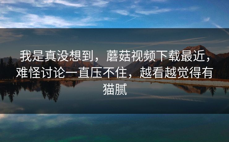 我是真没想到，蘑菇视频下载最近，难怪讨论一直压不住，越看越觉得有猫腻
