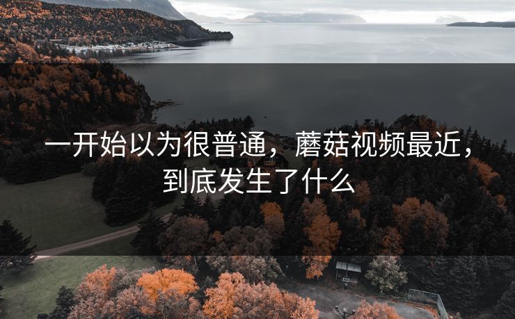 一开始以为很普通，蘑菇视频最近，到底发生了什么