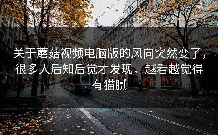 关于蘑菇视频电脑版的风向突然变了，很多人后知后觉才发现，越看越觉得有猫腻