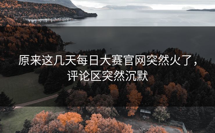原来这几天每日大赛官网突然火了，评论区突然沉默