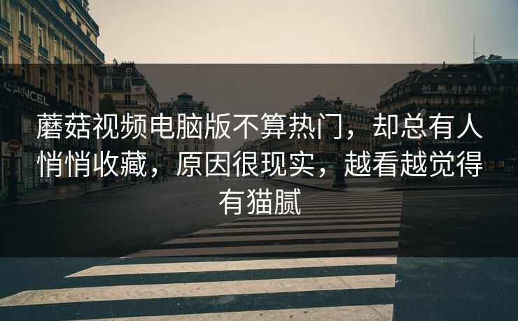 蘑菇视频电脑版不算热门，却总有人悄悄收藏，原因很现实，越看越觉得有猫腻
