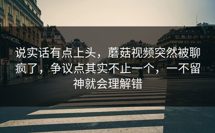 说实话有点上头，蘑菇视频突然被聊疯了，争议点其实不止一个，一不留神就会理解错