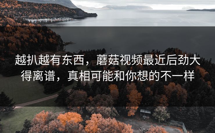 越扒越有东西，蘑菇视频最近后劲大得离谱，真相可能和你想的不一样
