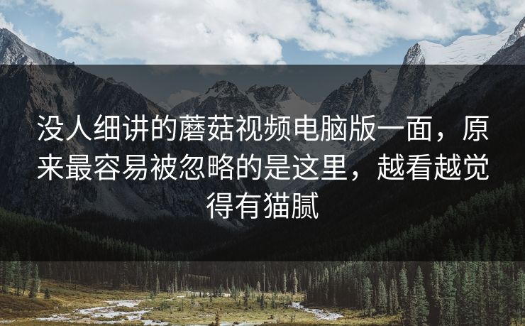 没人细讲的蘑菇视频电脑版一面，原来最容易被忽略的是这里，越看越觉得有猫腻
