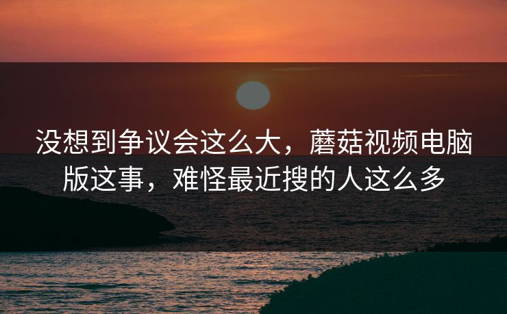 没想到争议会这么大，蘑菇视频电脑版这事，难怪最近搜的人这么多