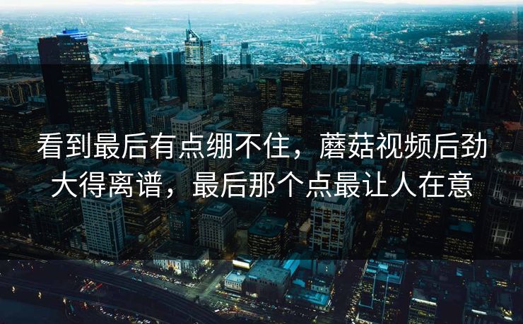 看到最后有点绷不住，蘑菇视频后劲大得离谱，最后那个点最让人在意