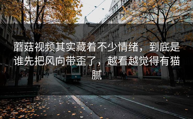 蘑菇视频其实藏着不少情绪，到底是谁先把风向带歪了，越看越觉得有猫腻