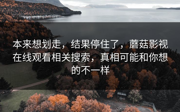 本来想划走，结果停住了，蘑菇影视在线观看相关搜索，真相可能和你想的不一样