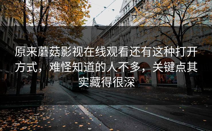 原来蘑菇影视在线观看还有这种打开方式，难怪知道的人不多，关键点其实藏得很深