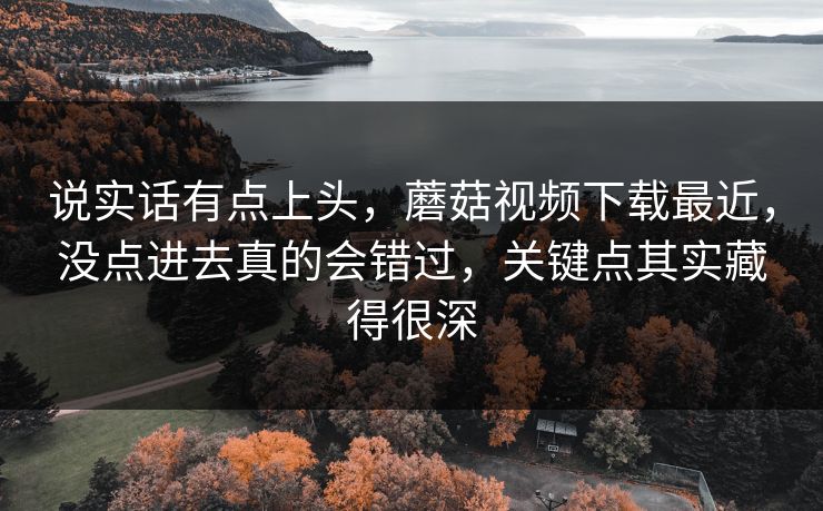 说实话有点上头，蘑菇视频下载最近，没点进去真的会错过，关键点其实藏得很深
